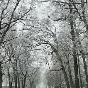 Meet your Posher, Rhodora